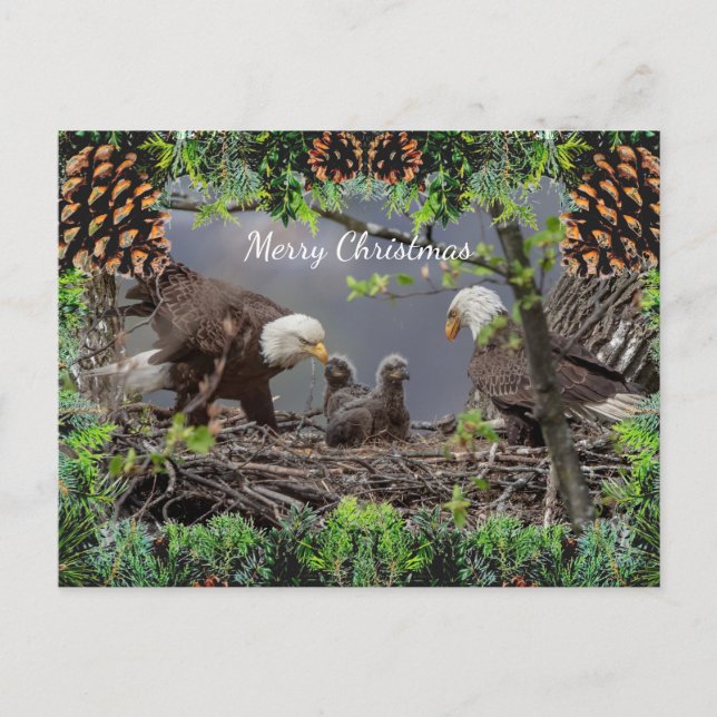 American Bald Eagle Christmas Card (Front)