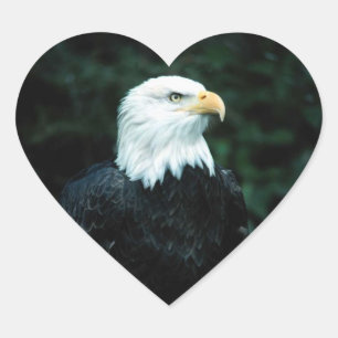 American Bald Eagle Heart Sticker