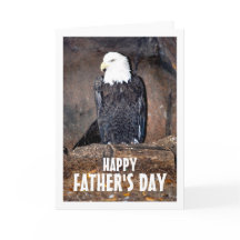 American Bald Eagle in Nest