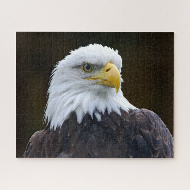 American Bald Eagle Jigsaw Puzzle (Horizontal)