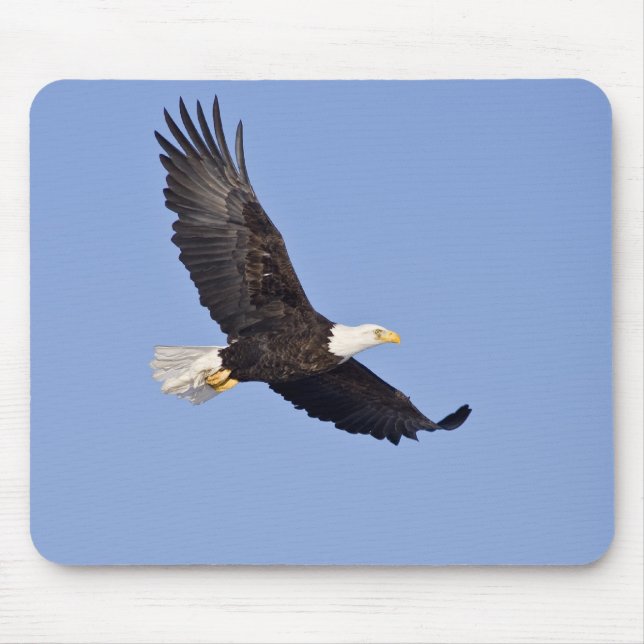 American Bald Eagle Mouse Mat (Front)