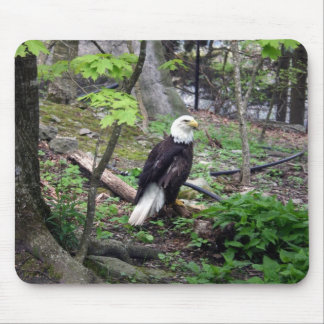 American Bald Eagle Mouse Mat