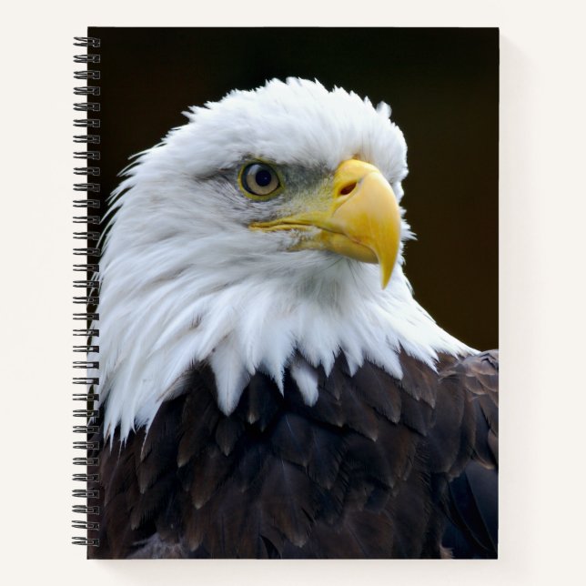 American Bald Eagle Notebook (Front)