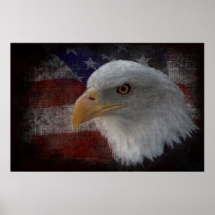 American Bald Eagle on Flag Poster
