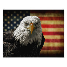 American Bald Eagle on Grunge Flag