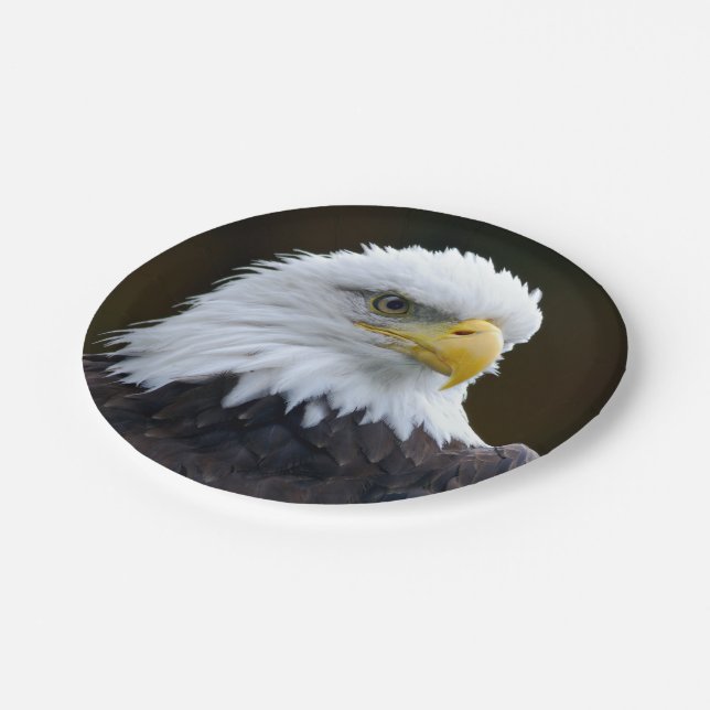 American Bald Eagle Paper Plate (Angled)