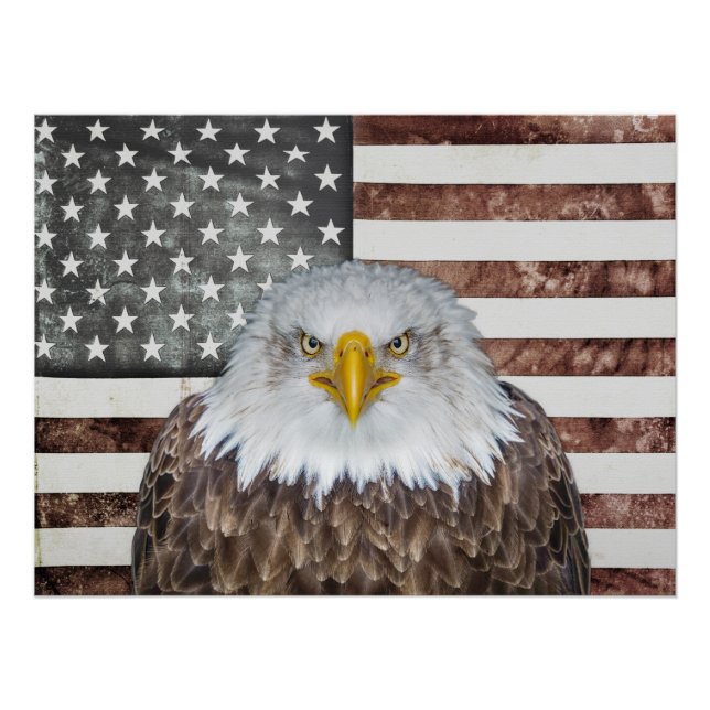 American Bald Eagle Patriot Poster (Front)