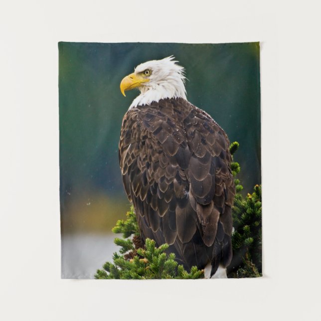 American Bald Eagle Perched Tapestry (Front)