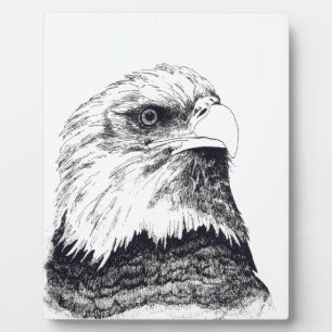American Bald Eagle Plaque