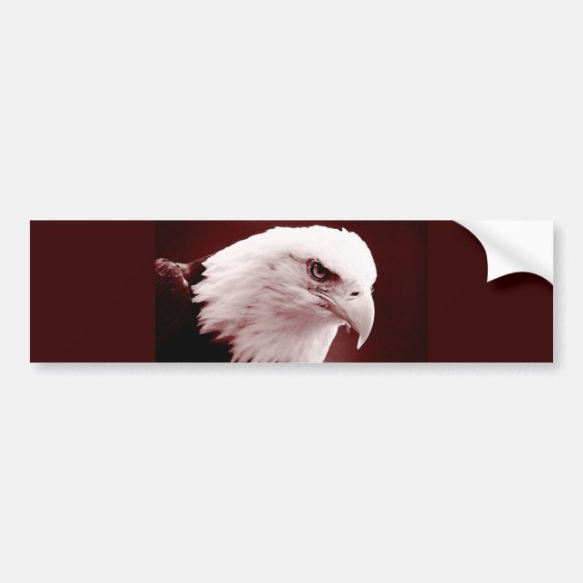American Bald Eagle Portrait Bumper Sticker (Front)
