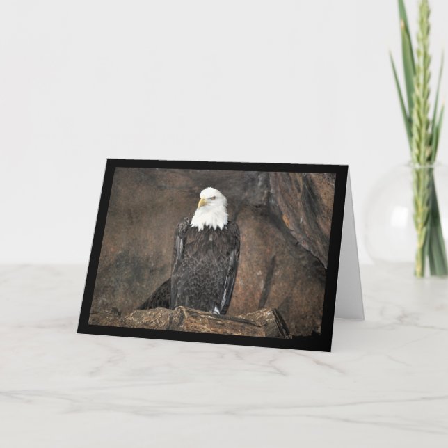 American Bald Eagle Portrait Card (Front)