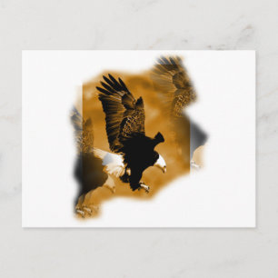 American Bald Eagle Postcard