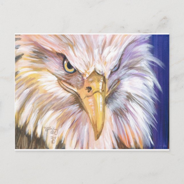 American Bald Eagle Postcard (Front)