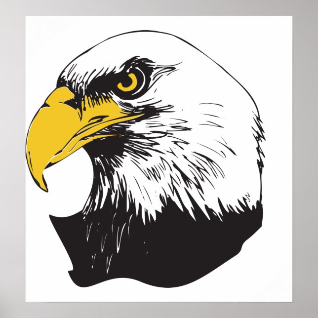 American Bald Eagle Poster (Front)