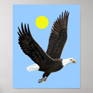 American Bald Eagle Print