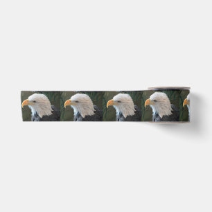 American Bald Eagle Satin Ribbon