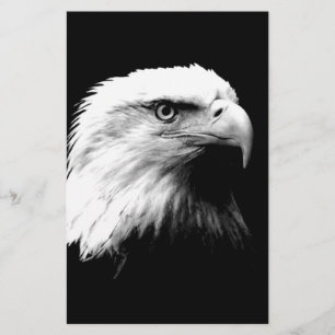 American Bald Eagle Stationery