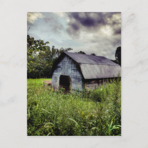American Barn - Rural North Carolina Postcard