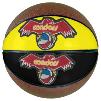 American Basketball Association