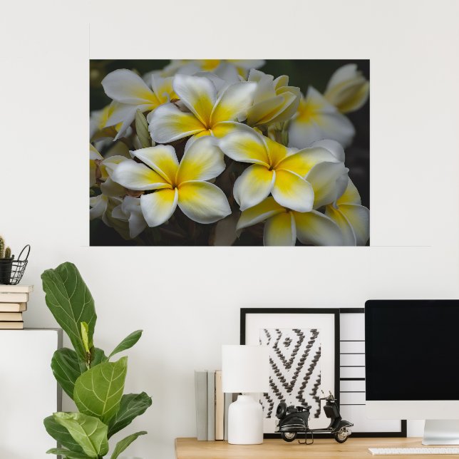 American Beauty, Floral Yellow Plumeria Poster (Home Office)