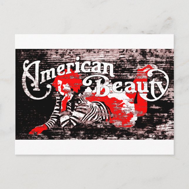 american beauty postcard (Front)