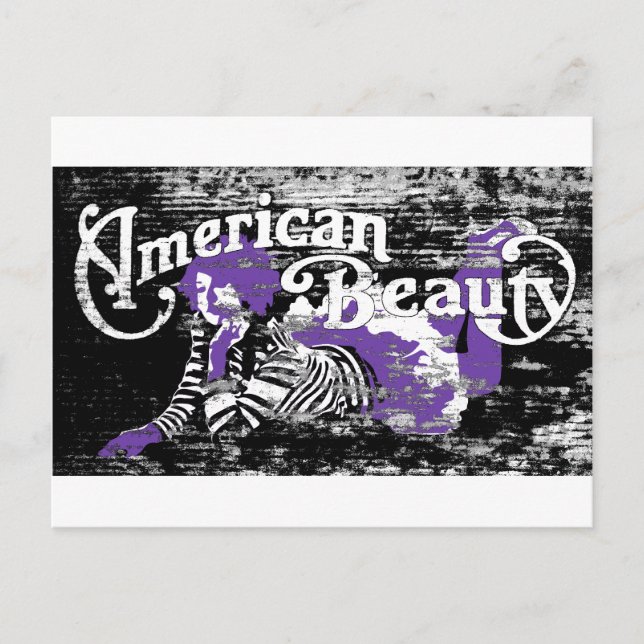 american beauty postcard (Front)