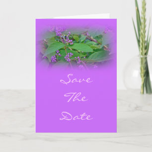 American Beautyberry (Callicarpa americana) Invitation