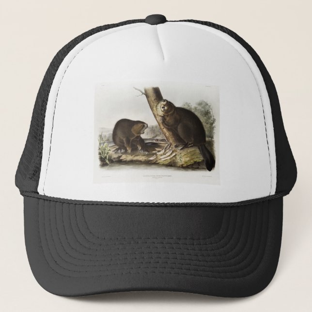 American Beaver Camping Gear Deco Gifts Trucker Hat (Front)
