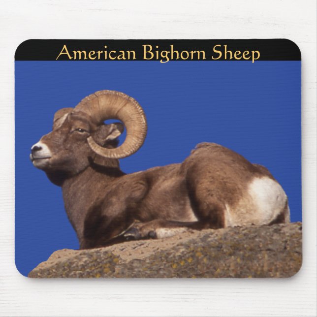 American Bighorn Sheep Mousepad (Front)
