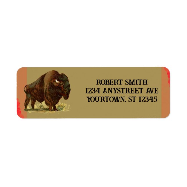 American Bison (Front)