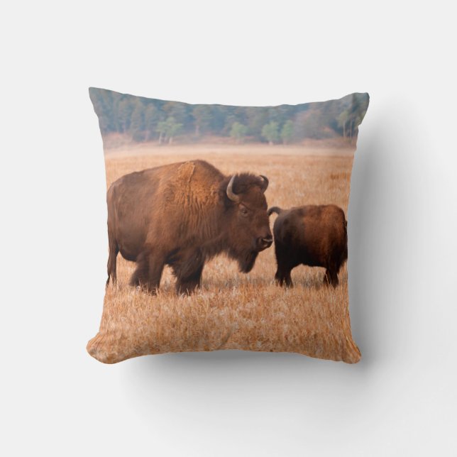 American Bison (Bison Bison) Cow And Calf Cushion (Front)