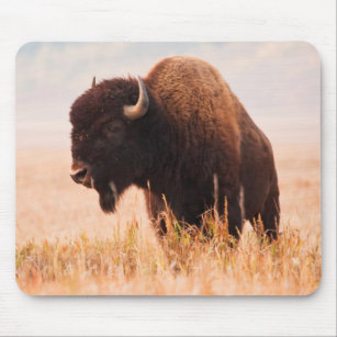 American Bison (Bison Bison) Herd In Teton 2 Mouse Mat