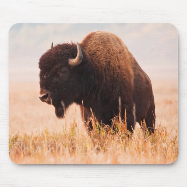 American Bison (Bison Bison) Herd In Teton 2 Mouse Mat (Front)