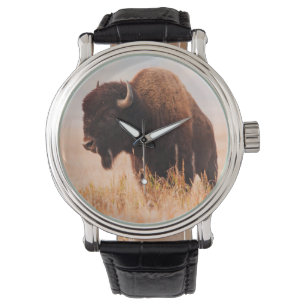 American Bison (Bison Bison) Herd In Teton 2 Watch