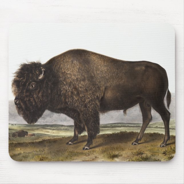American Bison (Bos Americanus) Illustration Mouse Mat (Front)