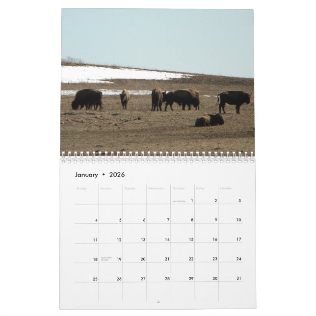 American Bison Calendar (Jan 2026)