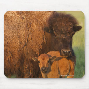American Bison cow and calf, North Dakota Mouse Mat