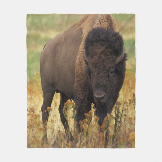 American Bison Fleece Blanket (Front)