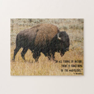 American Bison Grazing In Meadow Grass Photograph Jigsaw Puzzle