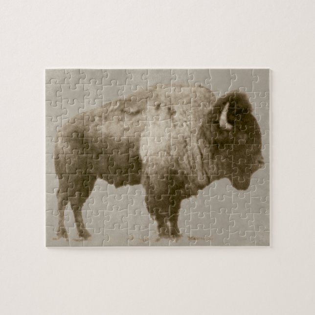 American Bison Jigsaw Puzzle (Horizontal)