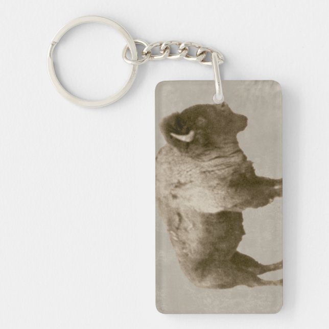 American Bison Key Ring (Front)