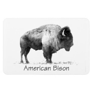 American Bison Magnet