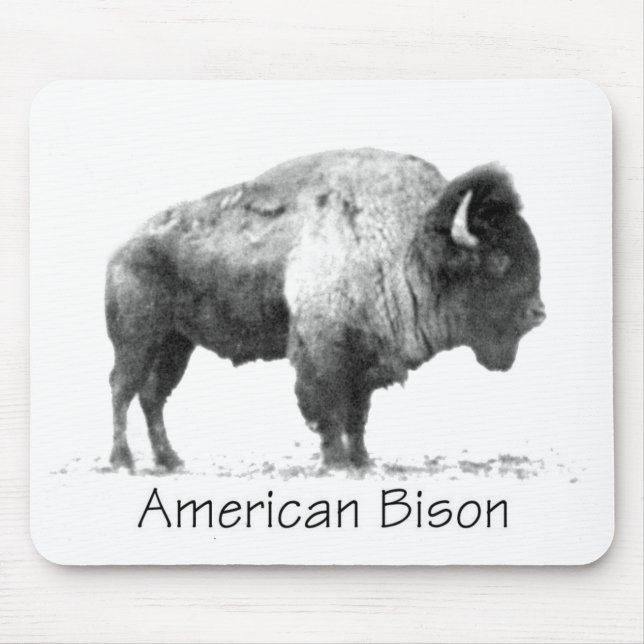 American Bison Mouse Mat (Front)