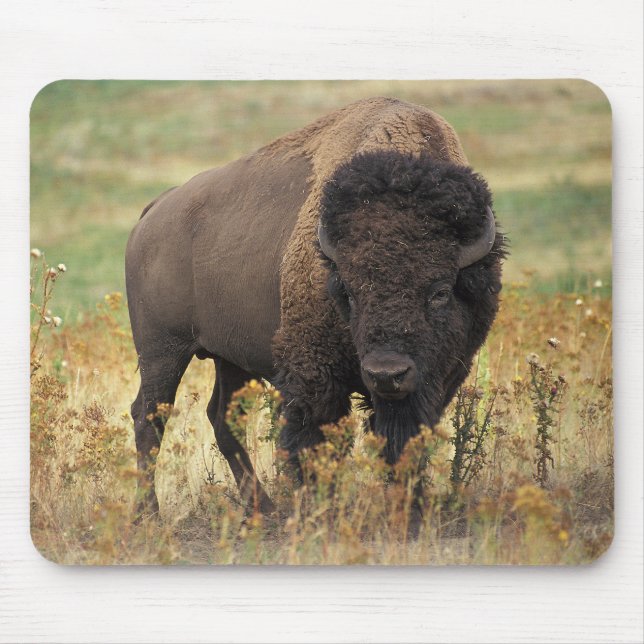 American bison mouse mat (Front)