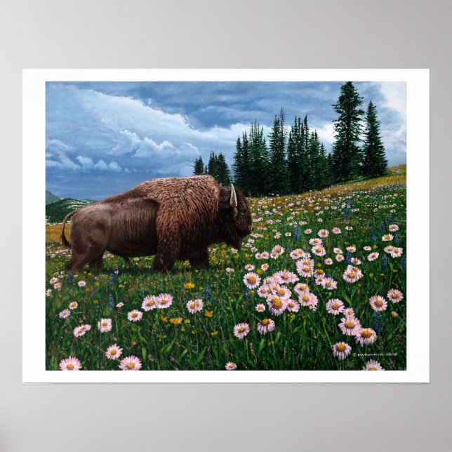 American Bison - "No Time For Flowers" Poster (Front)
