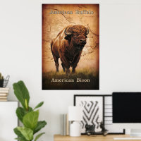 American Bison on the Map