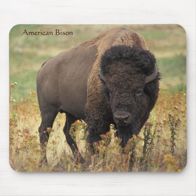 American Bison on the Range Mouse Mat (Front)