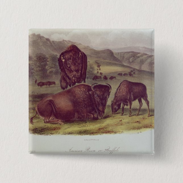 American Bison or Buffalo 15 Cm Square Badge (Front)
