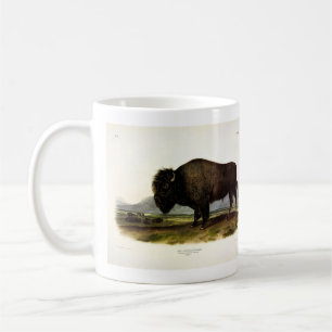 American Bison, or Buffalo (Bison bison) - Audubon Coffee Mug