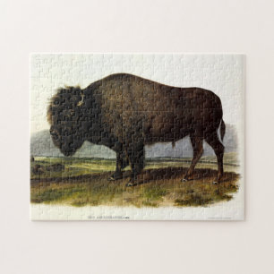 American Bison, or Buffalo (Bison bison) - Audubon Jigsaw Puzzle
